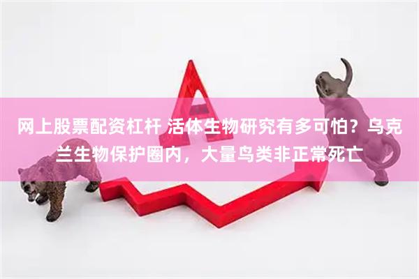 网上股票配资杠杆 活体生物研究有多可怕？乌克兰生物保护圈内，大量鸟类非正常死亡